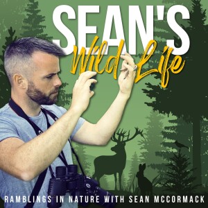 Sean’s Wild Life