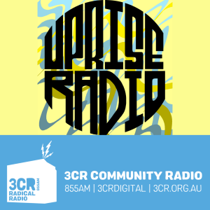 User Podcast Logo