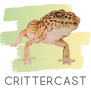 User Podcast Logo