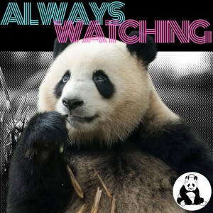 Always Watching  (Previously Pandavision)