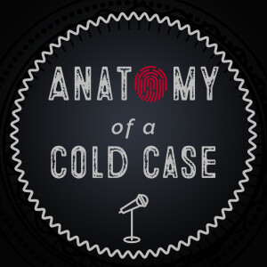 User Podcast Logo