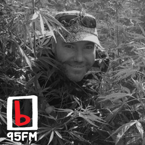 95bFM: Marijuana Media