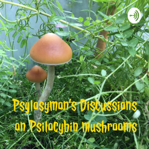 Psylosymon’s Discussions on Psilocybin mushrooms