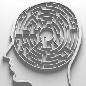 The Mental Maze: Journeys Through Mental Health