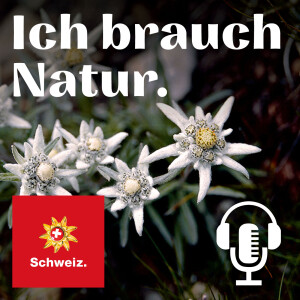 User Podcast Logo