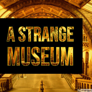 A Strange Museum
