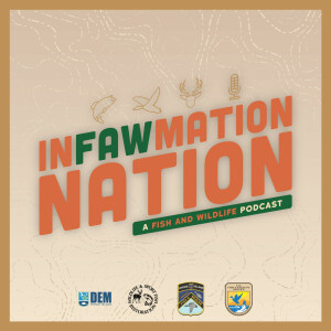 InFAWmation Nation