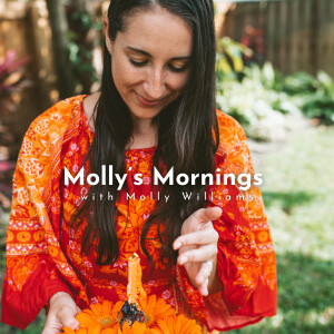 Molly's Morning Meditations