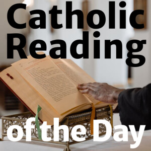 Catholic Reading of the Day