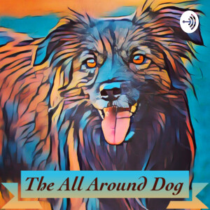 The All Around Dog