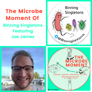 Interview With  Joe James The Founder Of Binning Singletons: Learn about Mentorship, Binning Singletons Plus A Crash Course In Microbiology