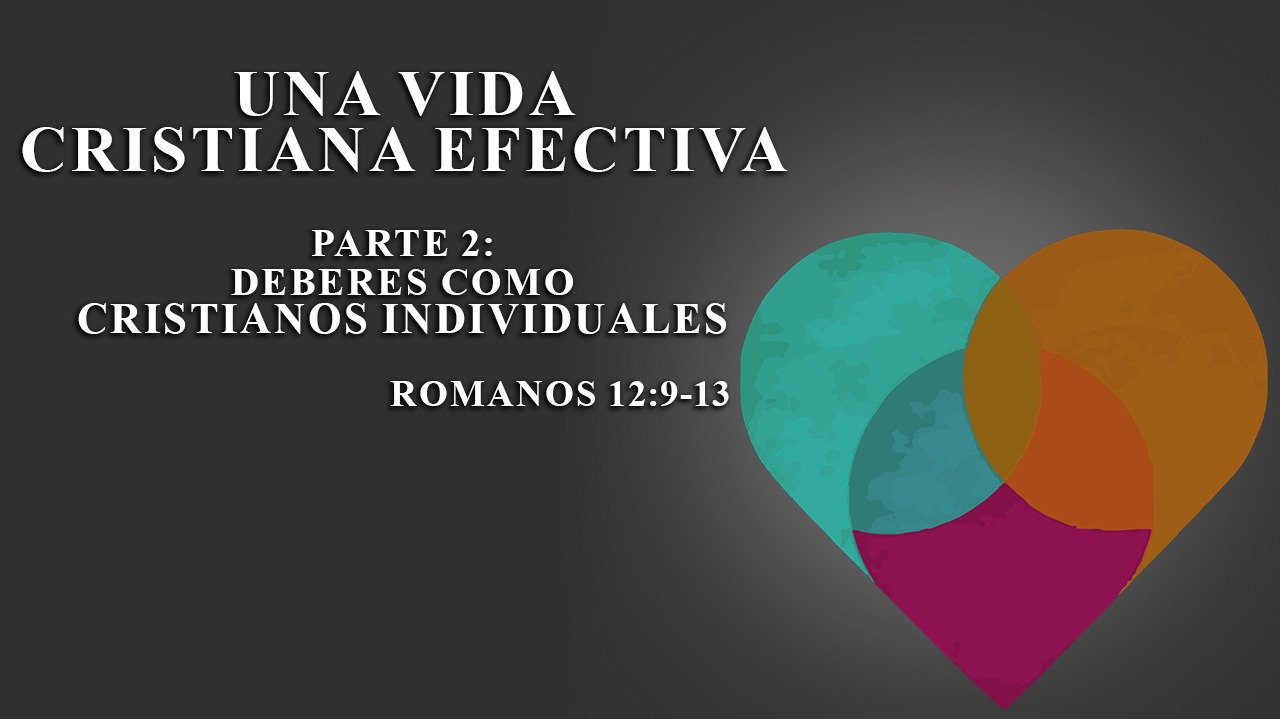 Roca Eterna México