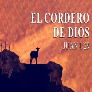 El cordero de  Dios  .-  Domingo 6 agosto  2023