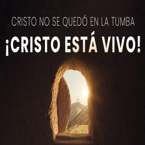 Sevicio especial. La resurrección de Cristo   - Domingo 31 Marzo 2024