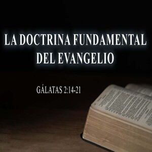 La doctrina fundamental del evangelio I Domingo 4 julio 2024