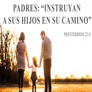 Padres: Instruyan a sus hijos en su camino    I Domingo 28 julio 2024