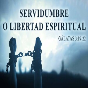 Servidumbre o libertad espiritual.I Domingo 25 agosto  2024