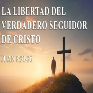 La libertad del verdadero seguidor de Cristo  I Domingo 15 septiembre  2024