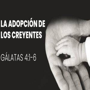 La adopción de los creyentes   I Domingo 22 septiembre  2024