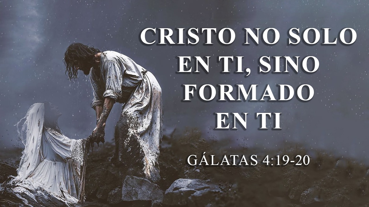 Roca Eterna México
