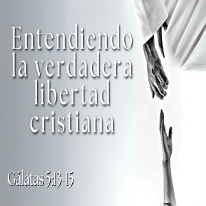 Entendiendo la verdadera libertad cristiana I Domingo 24 Noviembre  2024