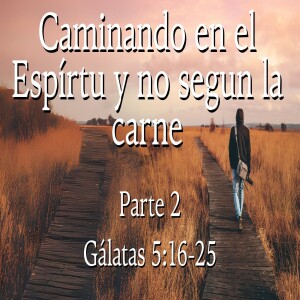 Caminando en el Espíritu y no según la carne (Parte II) I Domingo 12 Enero 2025