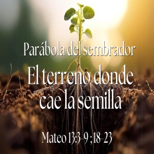 Parábola del sembrador:“El terreno donde cae la semilla” I Domingo 30 Marzo 2025