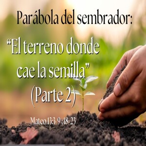 Parábola del sembrador:“El terreno donde cae la semilla” (Parte II)I Domingo 6 Abril 2025
