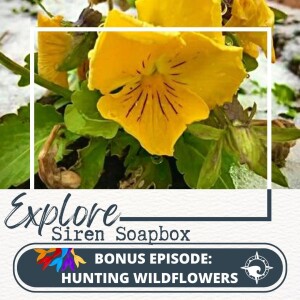 Siren Soapbox Bonus Episode: Hunting Wildflowers