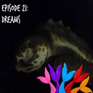 Siren Soapbox Episode #21: Dreams