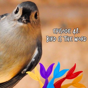 Siren Soapbox Episode 48: Bird is the Word!