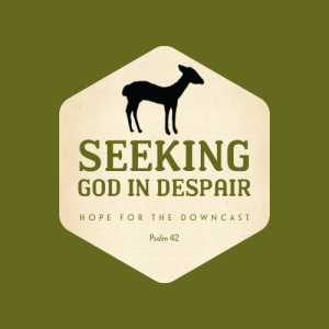 Seeking God in Despair - Part I