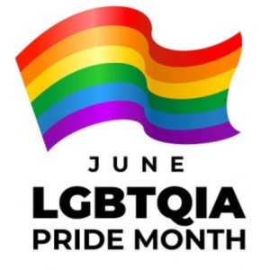 12 Pride месяцев