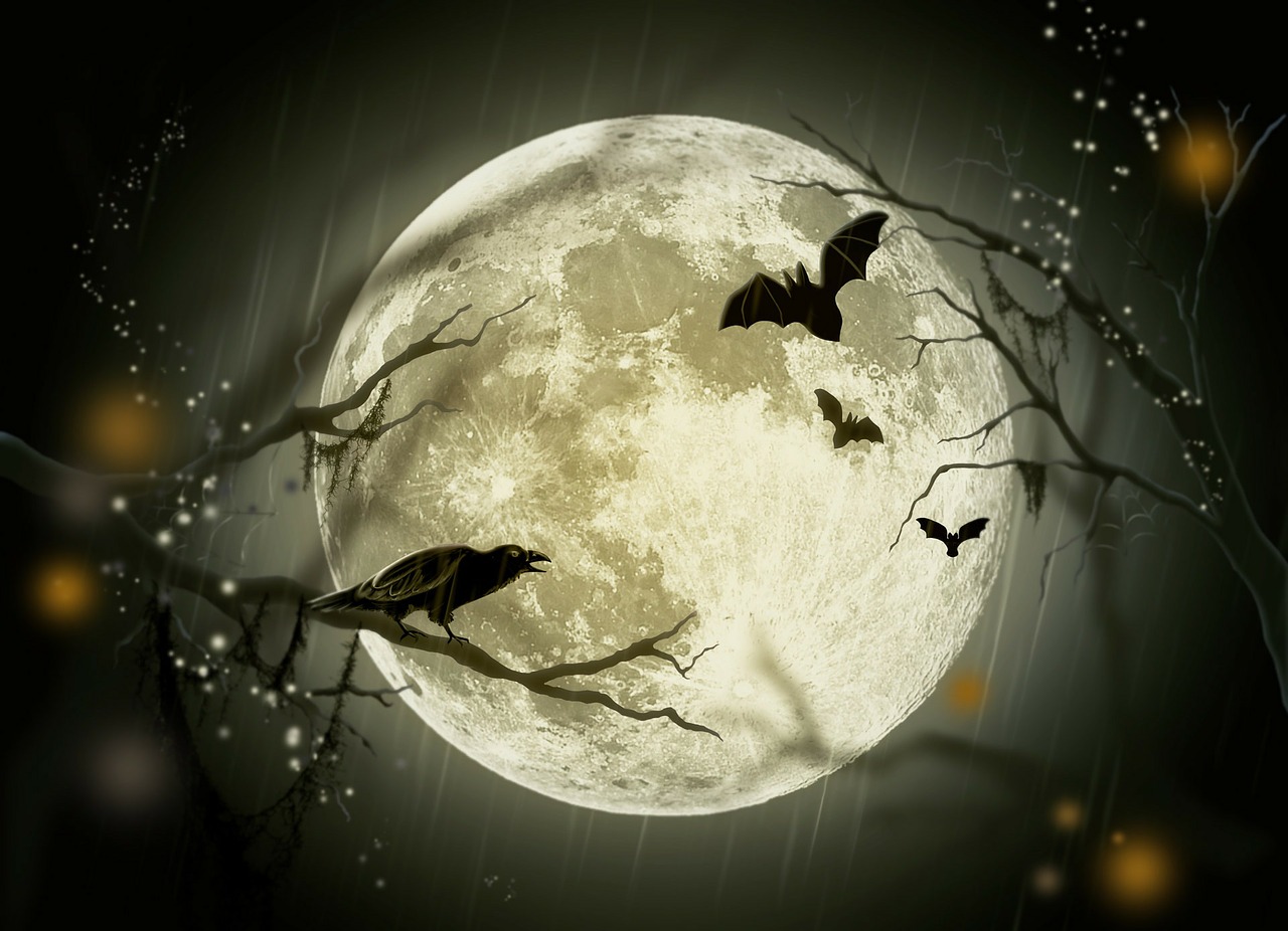 About Halloween Celebrations