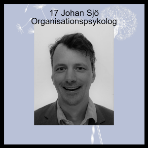 17 Johan Sjö Organisationspsykolog