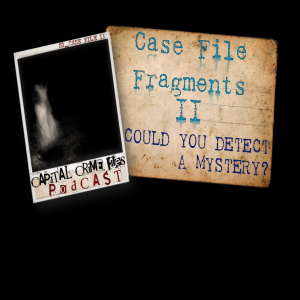 Case File Fragments II - Could you detect a mystery?