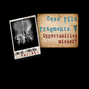 Case file fragment V - Opportunities missed?