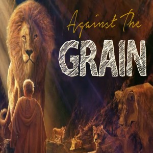 Against the Grain: Who Defines You?
