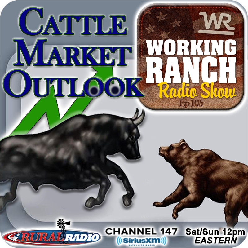 Ep 105: Hashing Out The CattleFax Market Outlook