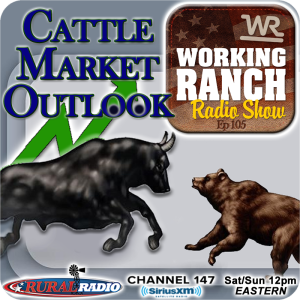 Ep 105: Hashing Out The CattleFax Market Outlook