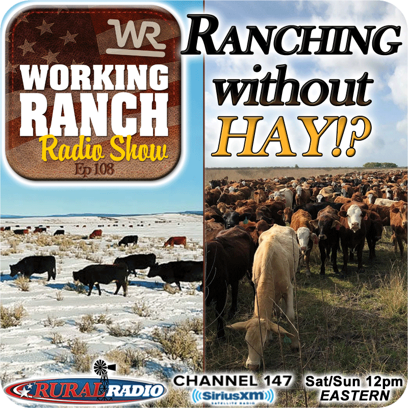 Ep 108: Ranching Without HAY!?