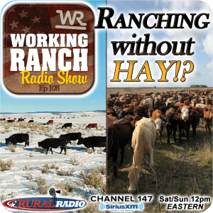 Ep 108: Ranching Without HAY!?