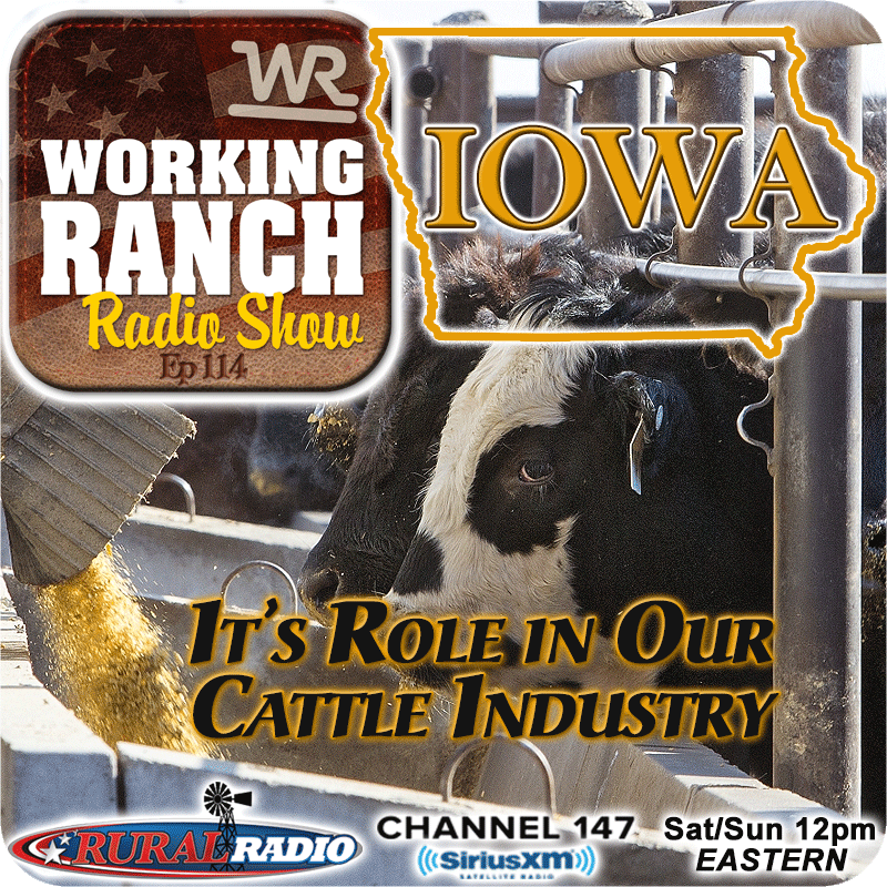 Ep 114: Iowa… It’s Role In Our Cattle Industry