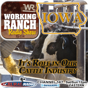 Ep 114: Iowa… It’s Role In Our Cattle Industry