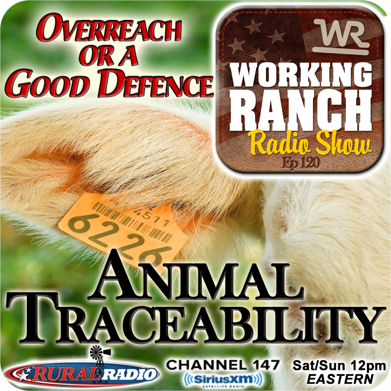 Ep 120: Animal Traceability: Overreach or a Good Defense