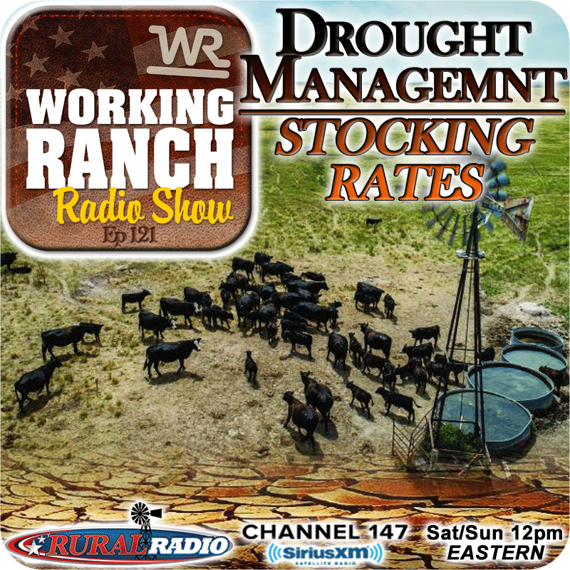 Ep 121: Proactive Drought Management on Stocking Rates