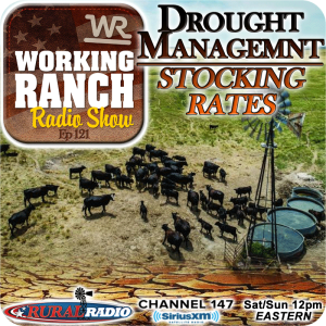 Ep 121: Proactive Drought Management on Stocking Rates