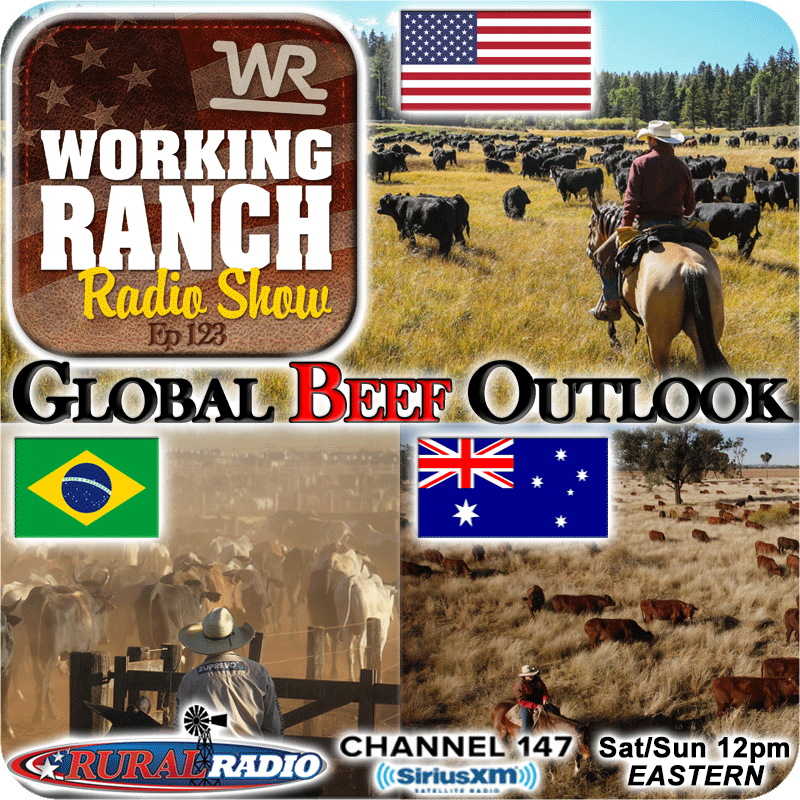 Ep 123: Why Global Beef Supply Outlook Is Supportive To Our Future Domestic Markets.