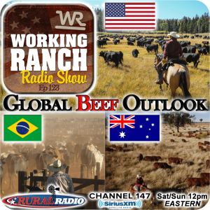 Ep 123: Why Global Beef Supply Outlook Is Supportive To Our Future Domestic Markets.