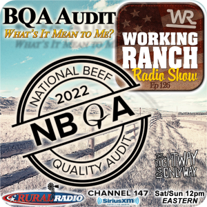 Ep 126: What Does the BQA Audit Say About Our Beef Industry?